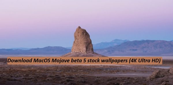 Download macOS Mojave Beta 5 Stock Wallpapers [4K Ultra HD] | GadgetsTwist