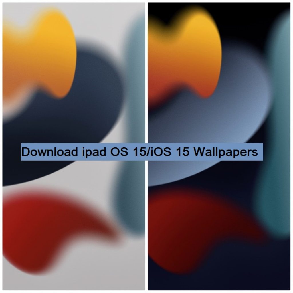 Download iOS 15/iPad OS 15 Stock Wallpapers in 4K HD [All Resolutions ...