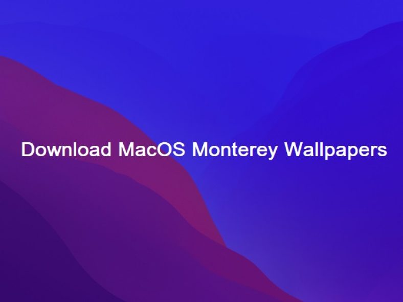 Download MacOs Monterey Stock Wallpapers in 4K+ HD [All Resolutions