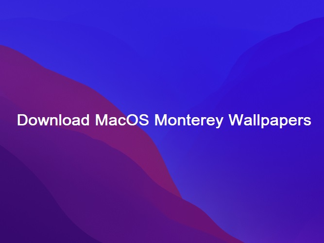 macos monterey wallpapers 4k